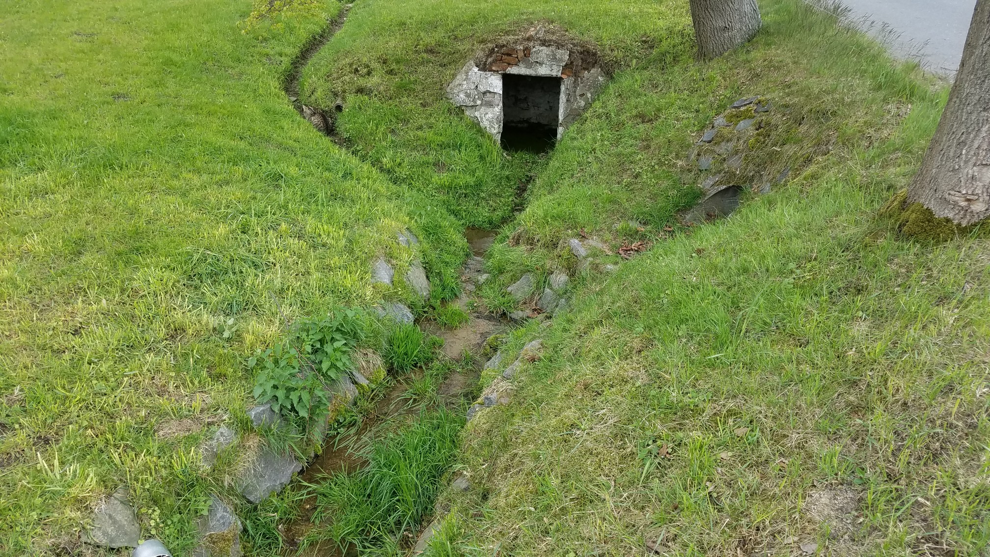 "Quelle" des Dorfbaches